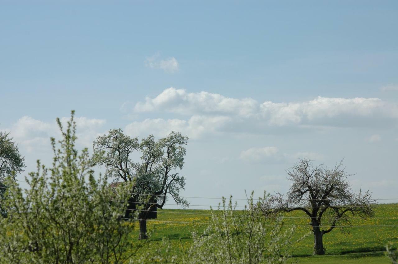 Apartmán Altes Schulhaus Argenbuhl Exteriér fotografie